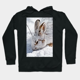 Snow Shoe Hare Hoodie